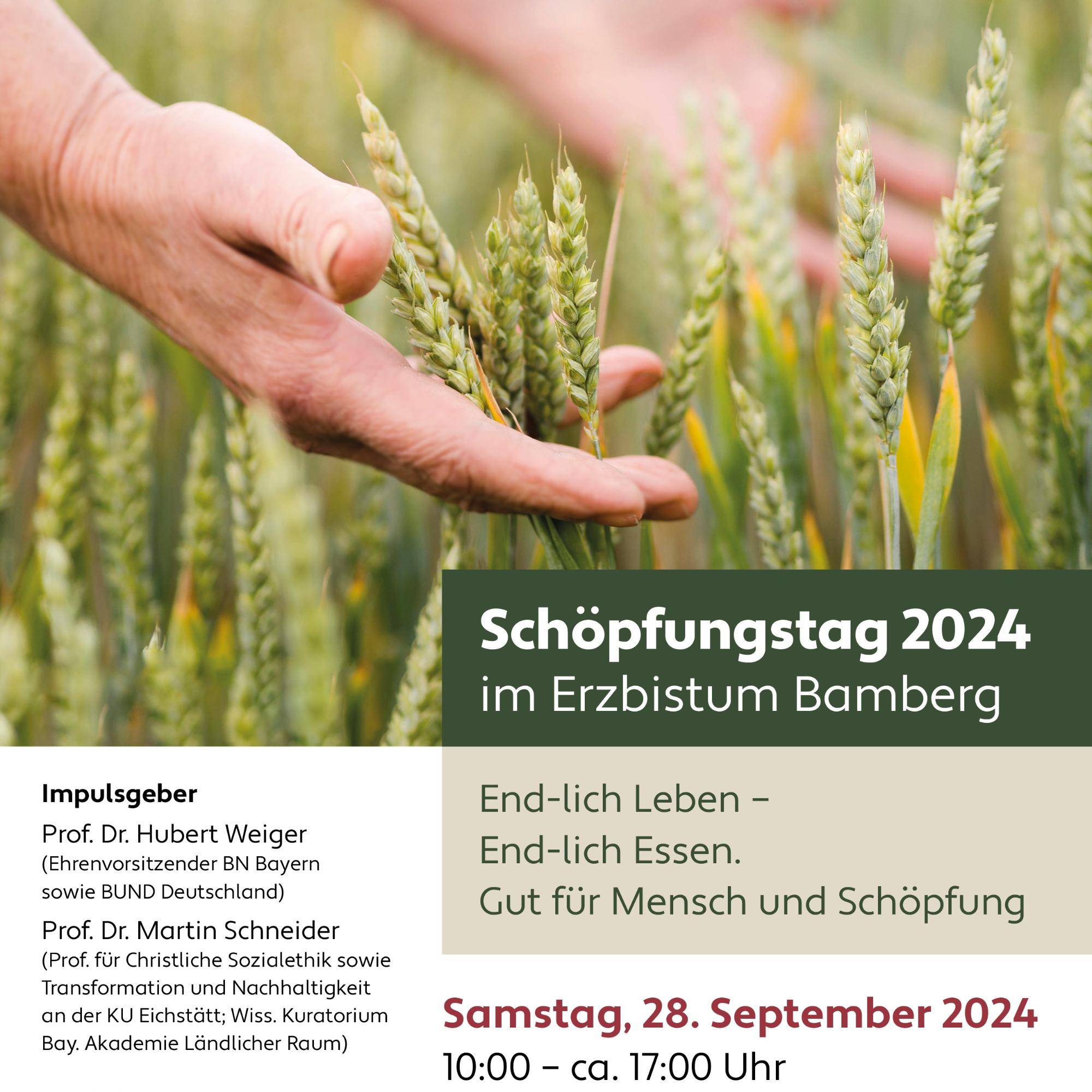 Plakat Diözesaner Schöpfungstag